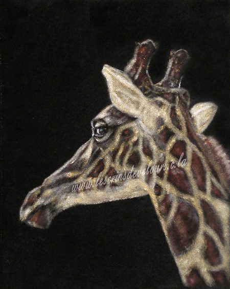 24 x 30 cm, Collection priv�e.
cliquer sur l'image pour revenir � la page pr�c�dente